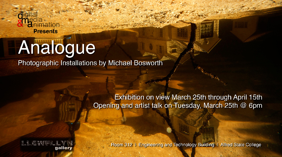 Analogue: a solo exhibition at the Llewellyn Gallery